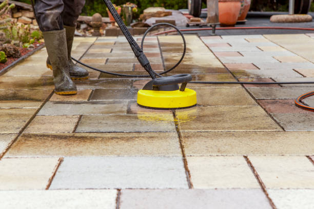 Best Dumpster Area Cleaning  in St Petersburg, FL