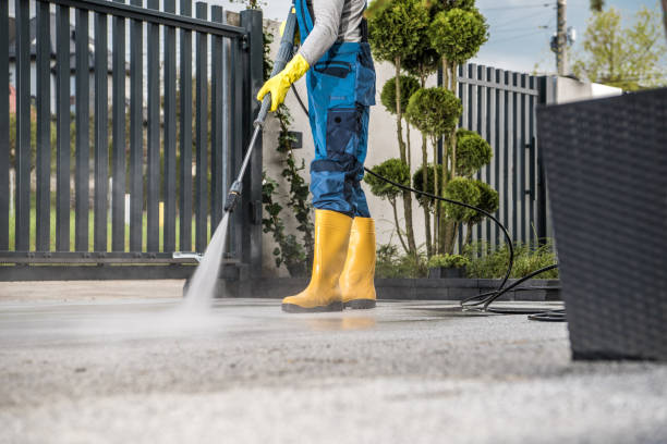 Best Dumpster Area Cleaning  in St Petersburg, FL
