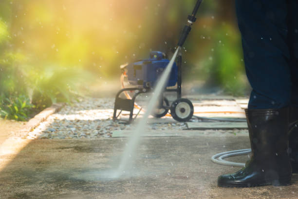 Best Soft Washing  in St Petersburg, FL